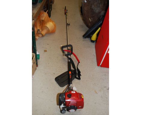 A petrol long-reach branch trimming chainsaw, extends to 11' long.  Not started but has good compression.