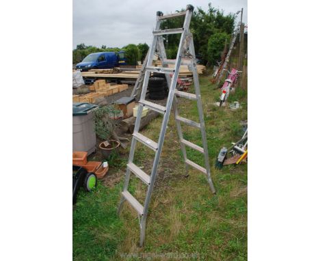 metamorphic step ladder/ladder.