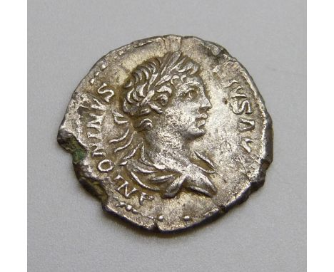 Coins; ancient silver Denarius Caracalla (201-210AD) Caracalla bust - ANTONINVS PIVS AVG, reverse - DEA CAELESTIS riding lion