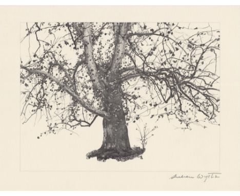 Artist: Andrew Wyeth (American, 1917-2009). Title: "New Leaves". Medium: Offset lithograph. Date: Composed 1941. Printed 1963