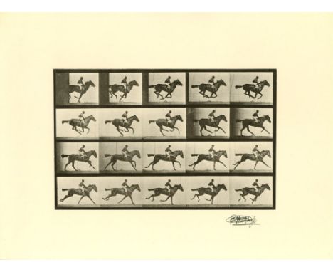 Artist: Eadweard Muybridge [d'apres] (English/American, 1830-1904). Title: "Jockey on Galloping Horse (The Horse in Motion) [