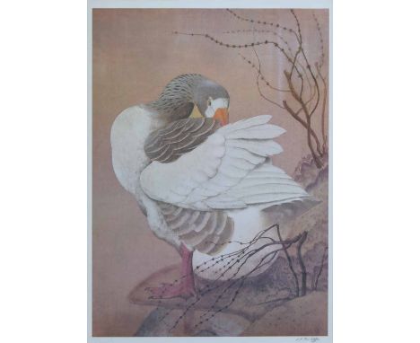 After Charles Frederick Tunnicliffe R.A. (1901-1979),   "The Gander", signed in pencil in the margin, with Fine Art Trade Gui