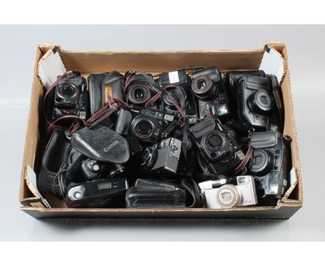 A Tray of Canon Compact Cameras,  models include Sure Shot Zoom XL, Sure Shot Tele, Z 115, Mega Zoom 105, Sure Shot Zoom-S, A