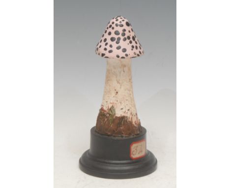 Natural History - Mycology - a painted model of a fungus specimen, mounted for display, 17.5cm high overall