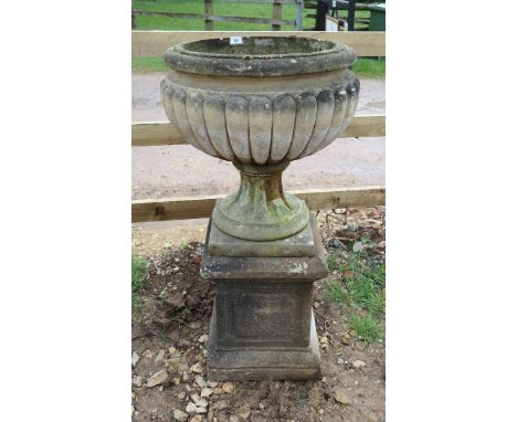 Large stone pedestal planter on plinth - Approx height: 113cm 