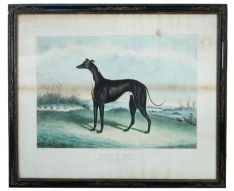 Edwin Henry Hunt (British, 19th Century) "Master Mc Grath" - a black greyhound, thrice winner of the Waterloo Cup 1868, 1869 