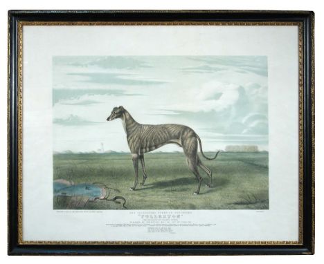 James Armstrong (British, 19th Century) The celebrated champion greyhound "Fullerton", the property of Colonel North publishe