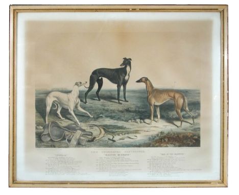 John McGahey, after James Armstrong (British, 19th Century) The Celebrated greyhounds - "Lobelia", Master Mc Grath" and "Bab 