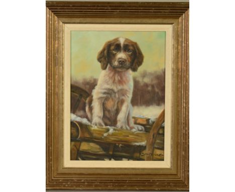 JOHN TRICKETT (BRITISH CONTEMPORARY), a portrait study of a Springer Spaniel puppy, signed lower right, acrylic on canvas, fr