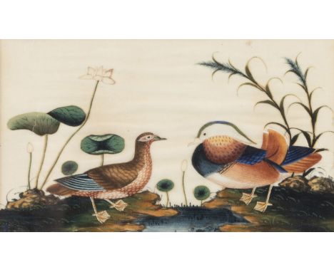 Sieben Pith-Malereien mit Darstellungen von Mandschuren, Schmetterlingen, Blumen und VögelnChina, 19. Jh.19 x 12,5 - 24,5 x 1