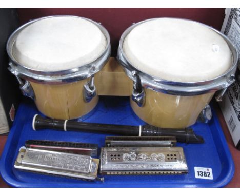 Bongo Drums, Bontempi Recorder, four harmonicas.