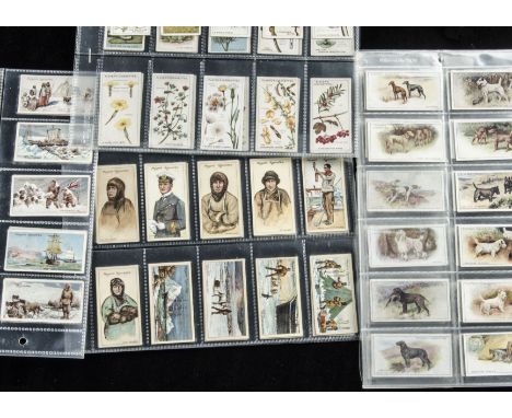Cigarette Cards, Mixture, Players, a mixture of genres to include Polar Exploration A & 2nd Series, Dogs (Scenic Background),