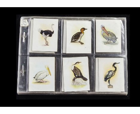 Trade Cards, Birds, UTC South Africa, Our South African Birds (M size gd)(150 cards)`