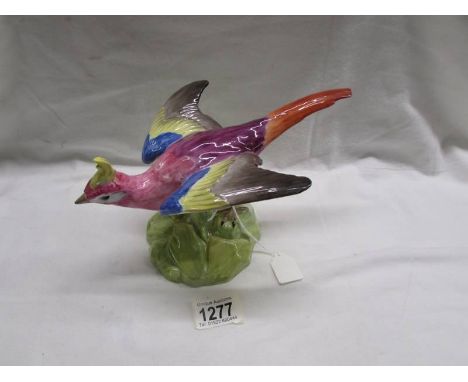 A large Copeland Spode multi-coloured crested pheasant standing with outstretched wings.Chip to the beak and one wing tip, ha