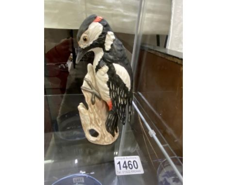 A Goebel great spotted woodpecker.