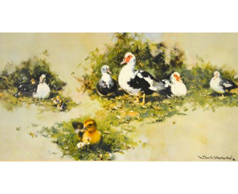AFTER DAVID SHEPHERD OBE (b.1931) - Muscovy Ducks, photographic reproduction, signed in pencil and numbered 823/850, framed, 