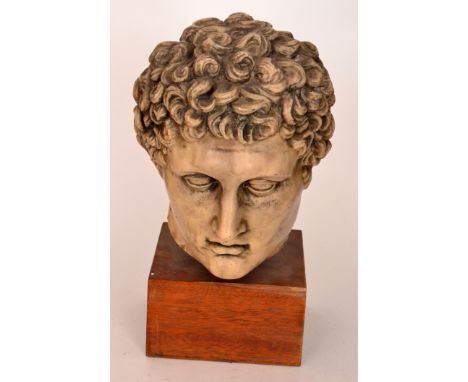 After the Antique - A cast resin bust of a classical male head with pale patinated finish, raised to a wooden plinth base, un