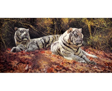 ANTHONY GIBBS (CONTEMPORARY) - White Tigers, Ever Watchful, photographic reproduction, signed in pencil and numbered 1123/155