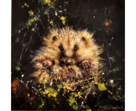 AFTER DAVID SHEPHERD OBE (b.1931) - Baby Hedgehog, photographic reproduction, signed in pencil and numbered 79/1500, framed, 