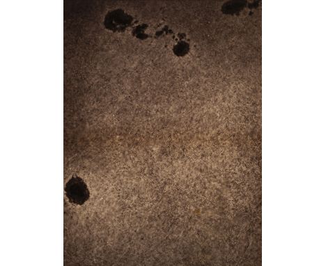 * Janssen (Jules,1824-1907). Surface of the Sun, Meudon, France, 1893, carbon print, 385 x 290 mm, aperture mount with contem