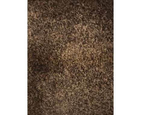 * Janssen (Jules,1824-1907). Surface of the Sun, Meudon, France, 1893, carbon print, 385 x 290 mm, aperture mount with contem