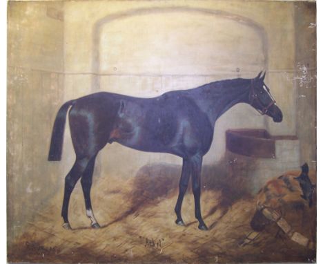 GEORGE PAICE (1854-1925); Portrait of the horse Athel in a stable interior, Oil on Canvas, signed and dated '95, 25" (64cms) 