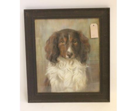 MAUD D HEAPS (1874-1964), Portrait of a Spaniel, signed pastel, 15" x 12 1/2", together with another, Portrait of a Collie, u