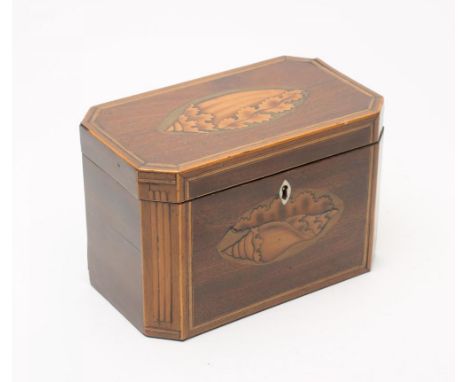 A LATE GEORGIAN MAHOGANY TEA CADDY of plain canted oblong form, the hinged cover and fascia inlaid in stained and coloured wo