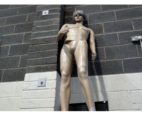 Male full body mannequin. Not available for in-house P&amp;P 