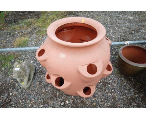 A large plastic strawberry planter