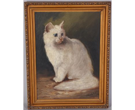 Portrait of a white cat, oil on board circa 1900, indistinctly signed Jakubetzl, 34cm x 24cm, framedGood condition