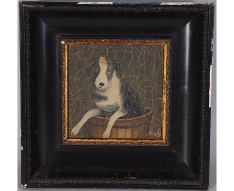 Portrait of a sheep dog, early 20th century oil on canvas, indistinctly signed, 18cm x 18cm, framedHeavy paint crazing, no ca