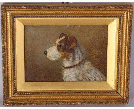 J Durham, portrait of a Terrier, 19th century oil on board, 14cm x 20cm, framedGood original condition
