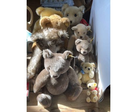 Nine Steiff teddy bears.