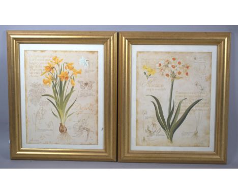 A Pair of Modern Gilt Framed Botanical Prints, 39cm wide 