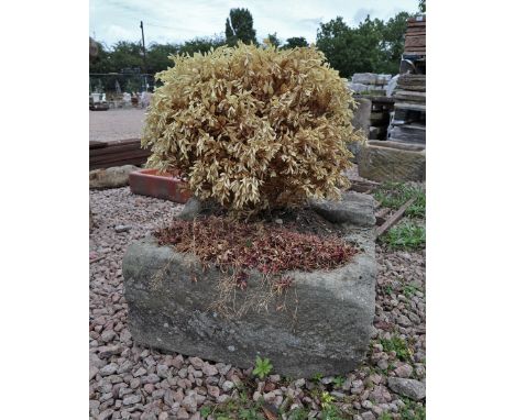 Square stone trough planter 