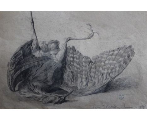 Jean-Maxime Claude (1823-1904) pencil drawing - A Bittern, after the work by Oudry, signed, inscribed, dated 1875 and bearing