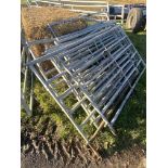 Quantity of IAE race hurdles. V