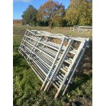 Quantity of IAE race hurdles. V