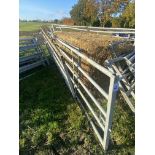 3x cattle yard gates. V