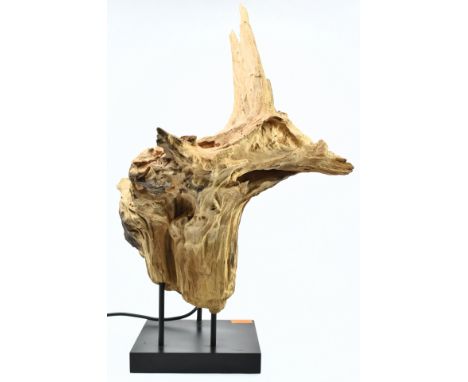 A contemporary driftwood table lamp light. The lamp having a one piece natural driftwood mounted upon a black plinth base wit