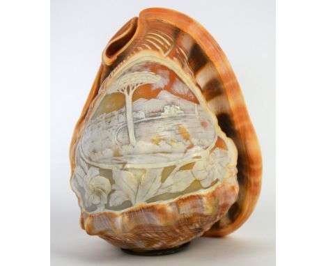 Naples carved conch shell lamp shade.   15 cm long. Generally in good condition with slight roughness to the edge of the shel