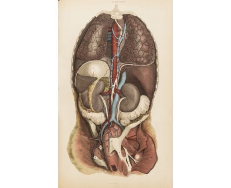 Lizars (John) A System of Anatomical Plates of the Human Body, second edition, engraved vignette title and 103 hand-coloured 