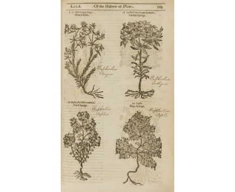 Herbal.- Gerard (John) The Herball or Generall Historie of Plantes, edited by Thomas Johnson, third edition, engraved archite