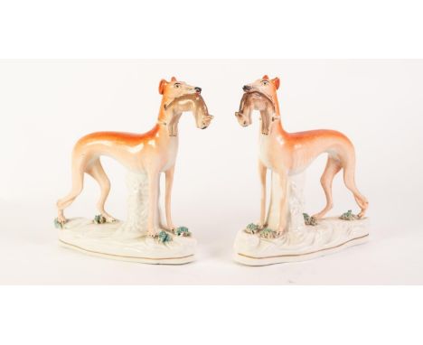 PAIR OF NINETEENTH CENTURY STAFFORDSHIRE POTTERY MODELS OF GREYHOUNDS, each modelled standing with a brown hare in its mouth,