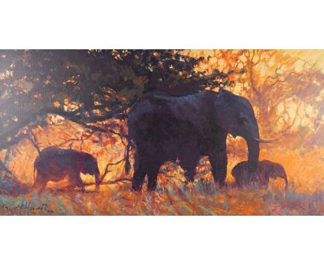 ROLF HARRIS (b.1930) ARTIST SIGNED LIMITED EDITION COLOUR PRINT ?Backlit Gold?, (41/75), no certificate 19? x 36? (48.2cm x 9