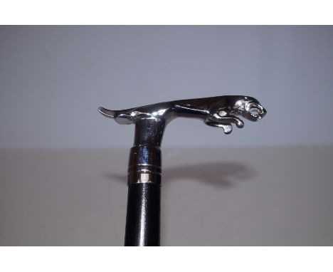 Jaguar handle walking stick 