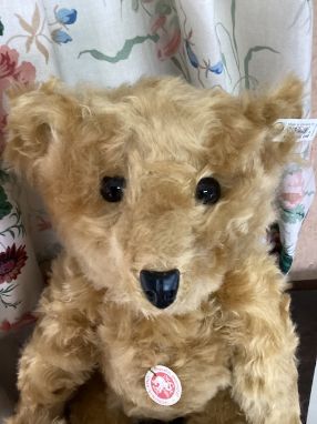 Steiff with box 50cm Replica 1991 Fine early Teddy Barle golden white tag no 1836 /6000 produced-Large robust 1904 dark gold 