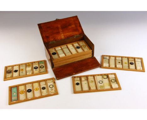 A collection of thirty six microscope slides, early 20th century and later, some prepared by W. Watson &amp; Sons, M. Pillisc