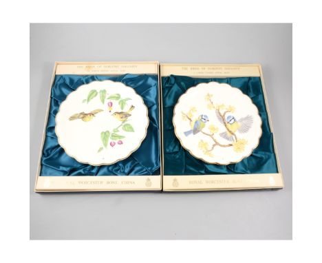 Set of twelve Royal Worcester plates, The Birds of Dorothy Doughty, each 24cm, boxed.